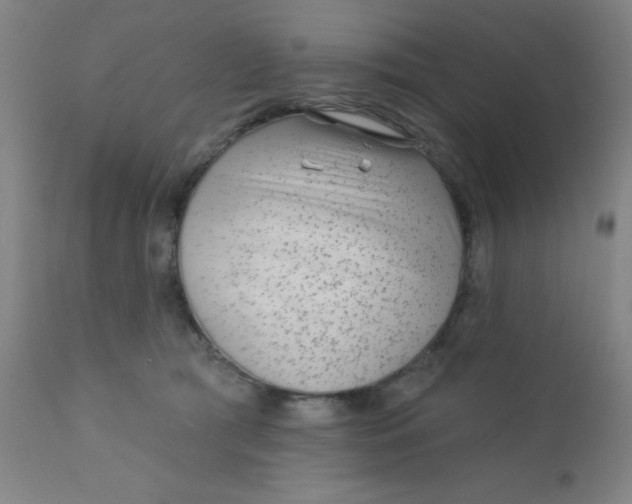 X0000110720417200907022051