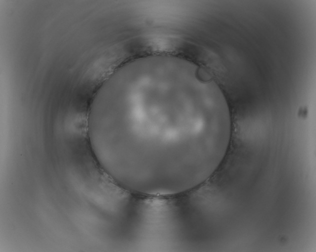 X0000110720419200907022051