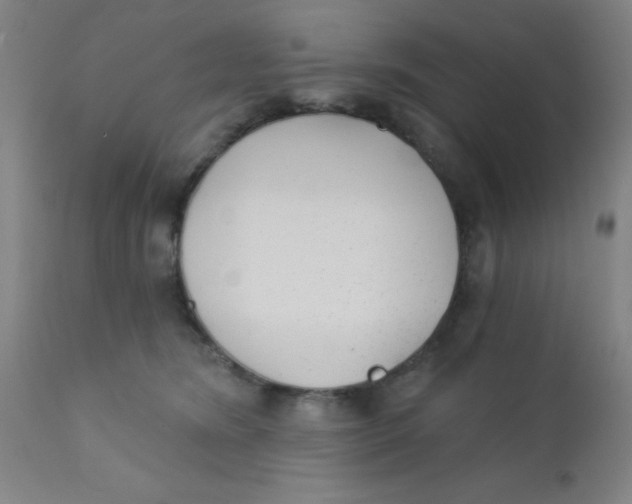 X0000110720420200907022051