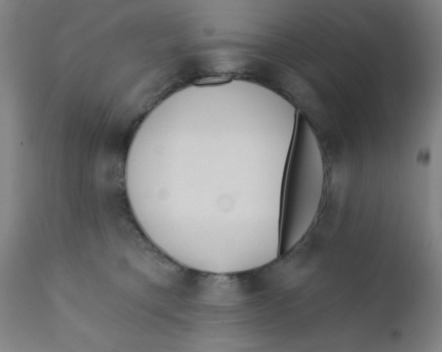 X0000110720421200907022051