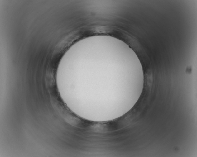 X0000110720422200907022051