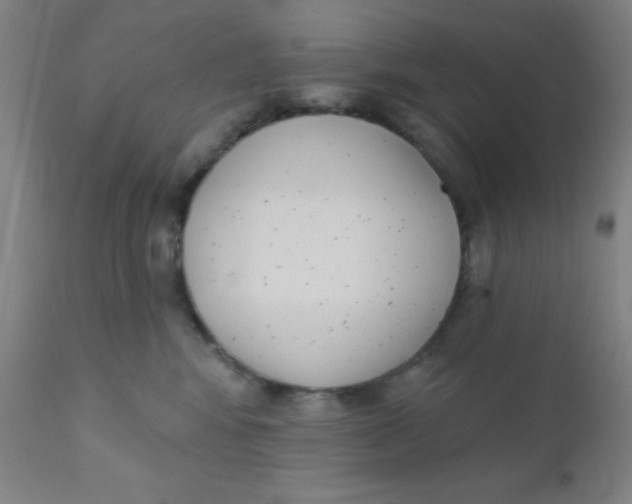 X0000110720424200907022051