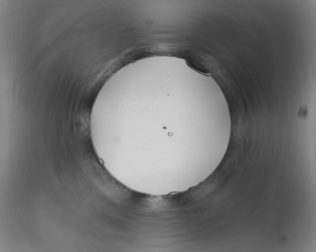 X0000110720425200907022051