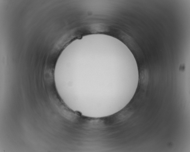 X0000110720426200907022051