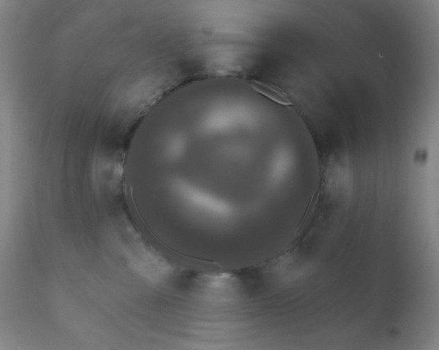 X0000110720427200907022051