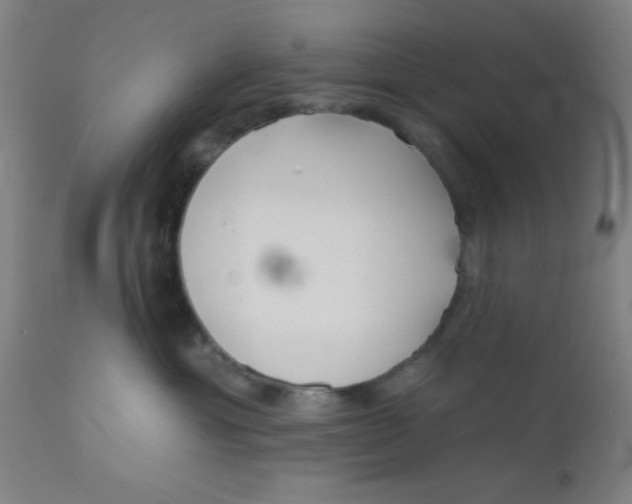 X0000110720429200907022051