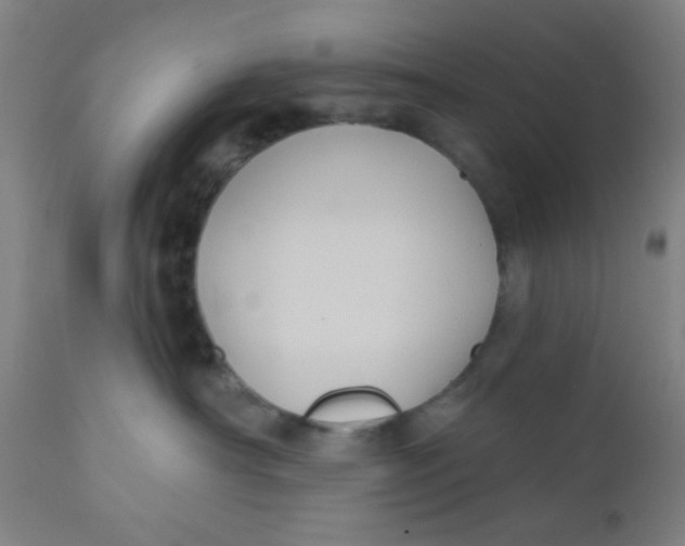 X0000110720430200907022051