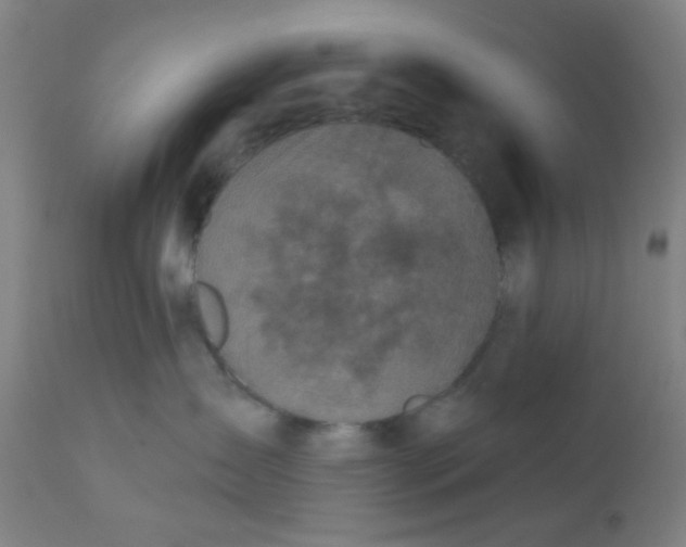 X0000110720431200907022051