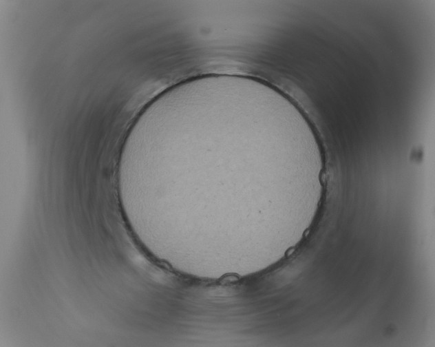 X0000110720433200907022050