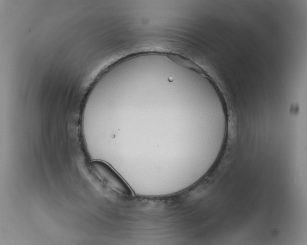 X0000110720434200907022050