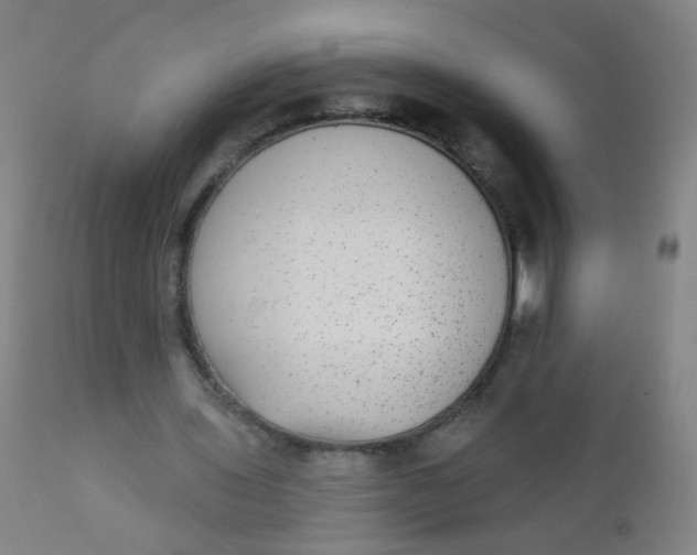 X0000110720435200907022050