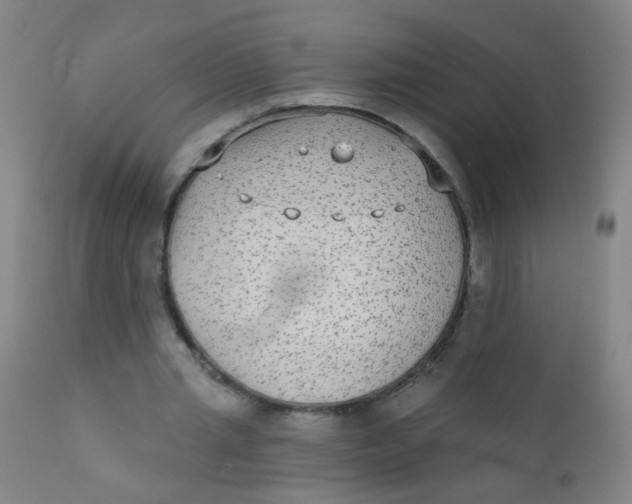 X0000110720437200907022050