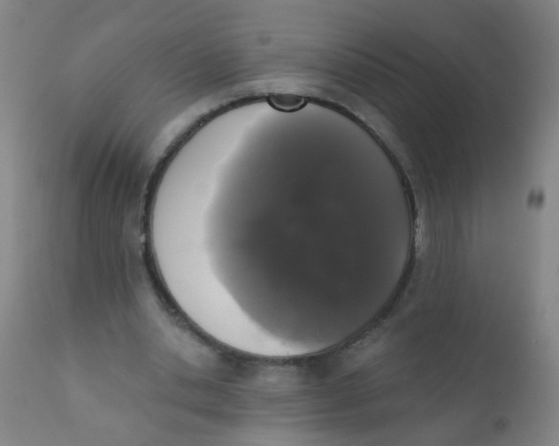 X0000110720438200907022050