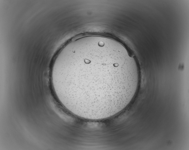 X0000110720439200907022050