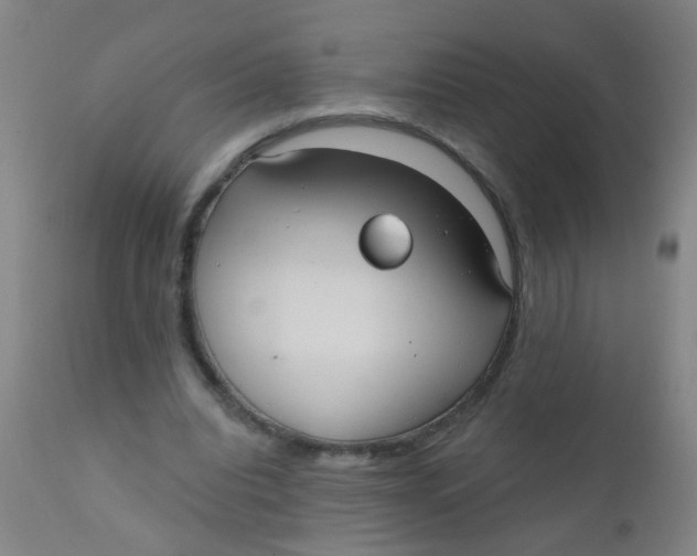 X0000110720440200907022050