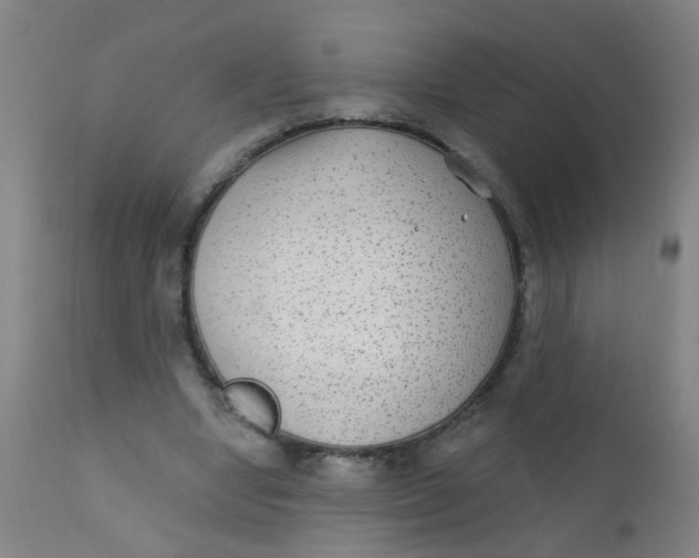 X0000110720442200907022050