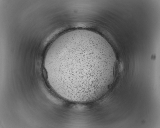 X0000110720444200907022050