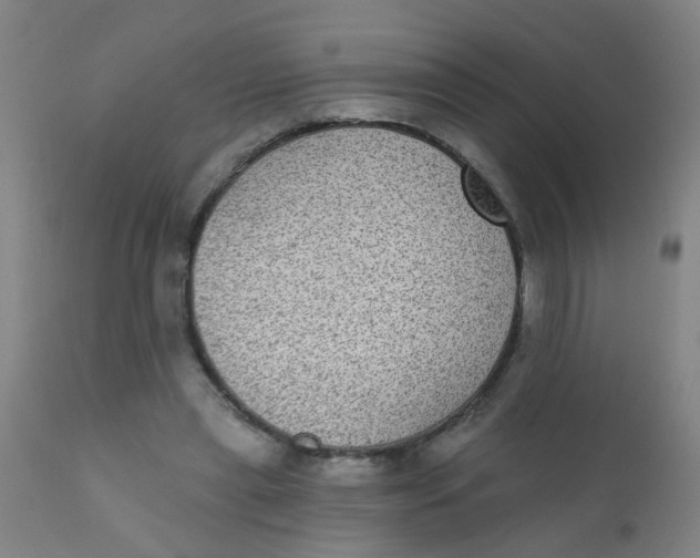 X0000110720445200907022050