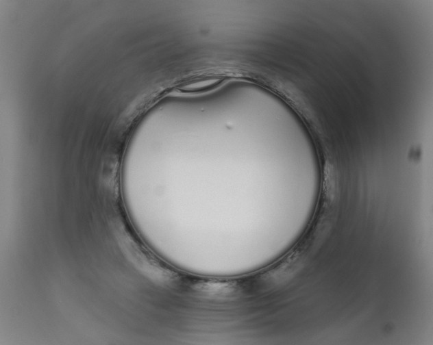 X0000110720449200907022050