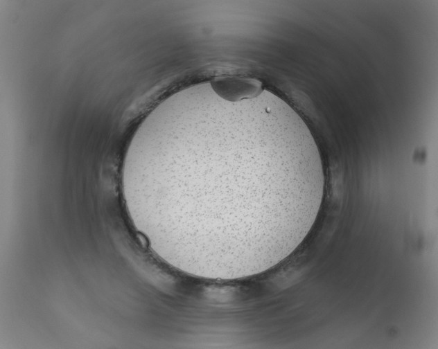 X0000110720450200907022050