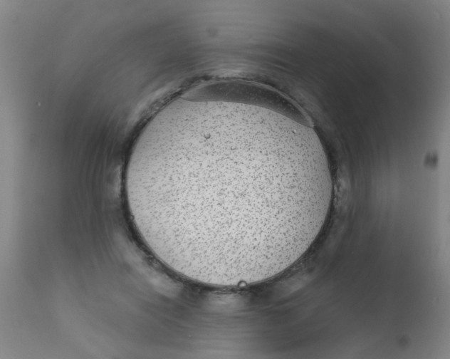 X0000110720454200907022050