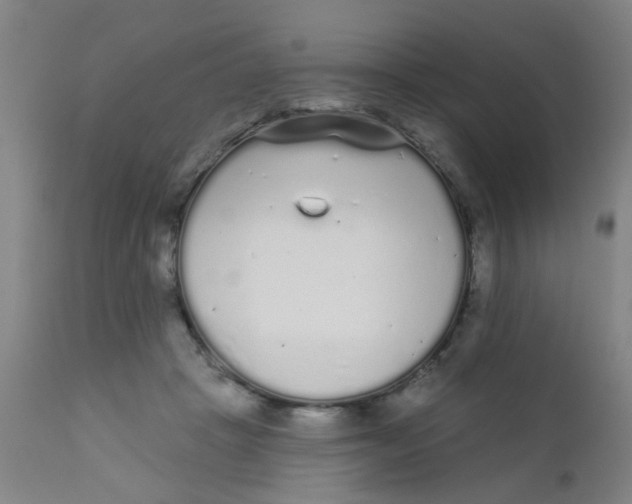 X0000110720457200907022050