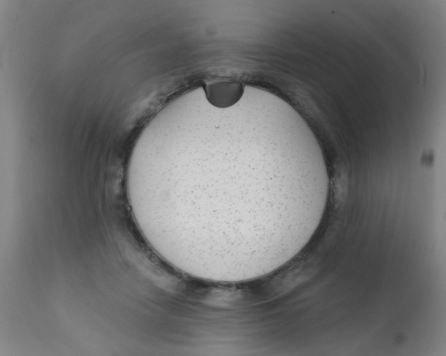 X0000110720458200907022050