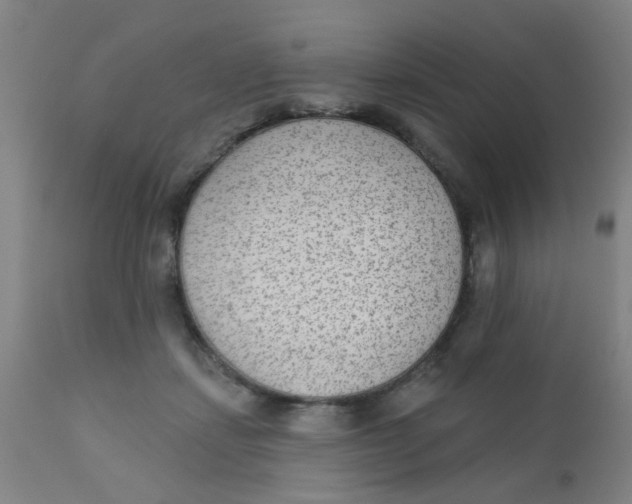 X0000110720459200907022050