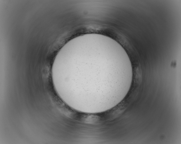 X0000110720463200907022050