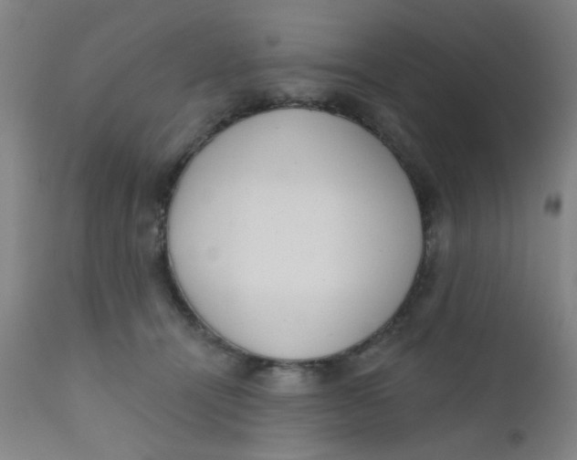 X0000110720464200907022050