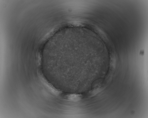 X0000110720465200907022050