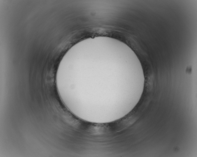 X0000110720466200907022050