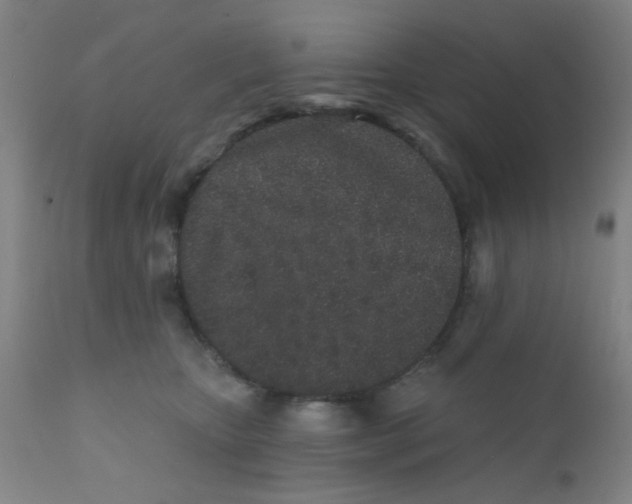 X0000110720467200907022050