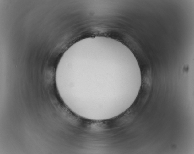 X0000110720468200907022050