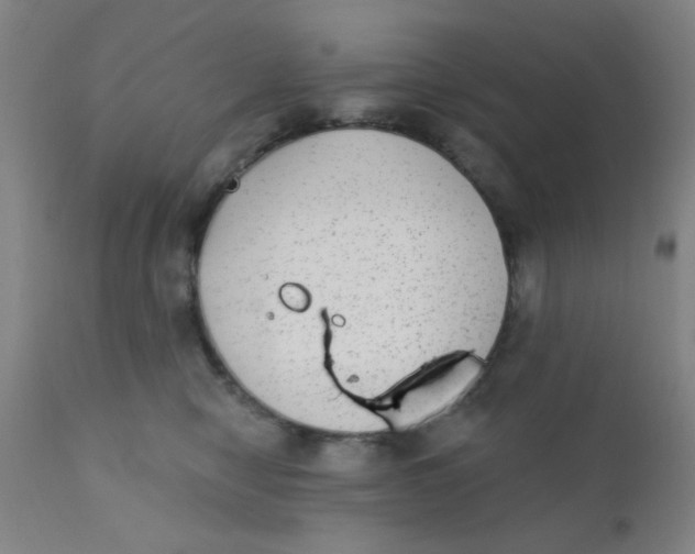 X0000110720470200907022051