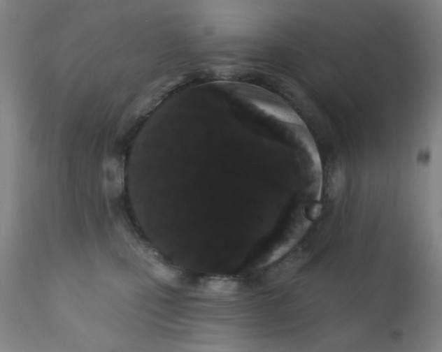 X0000110720471200907022051