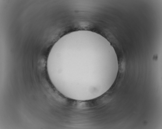 X0000110720472200907022051