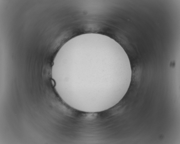 X0000110720474200907022051