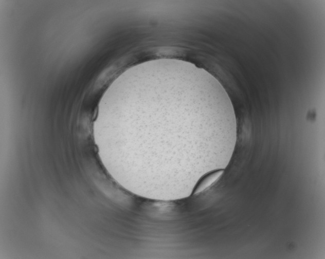 X0000110720478200907022051