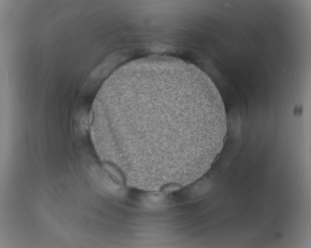 X0000110720479200907022051