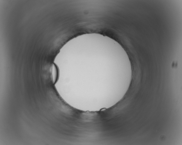 X0000110720480200907022051