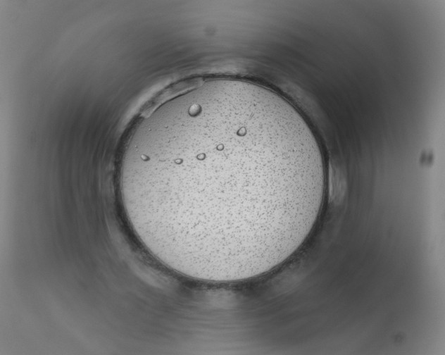 X0000110720483200907022050