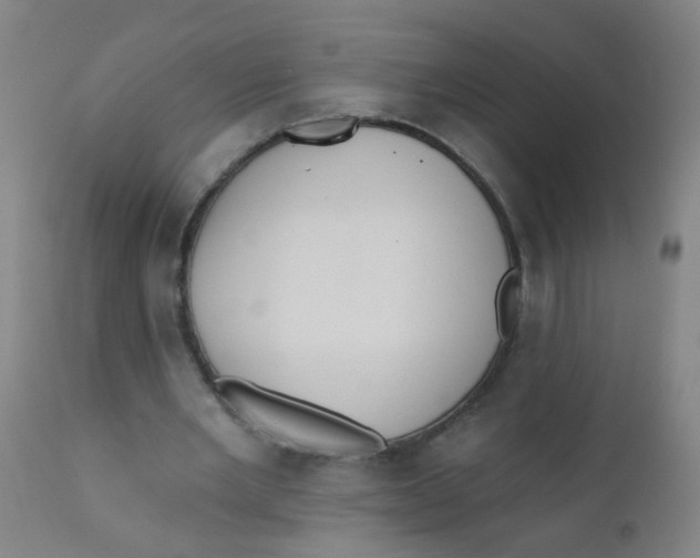 X0000110720485200907022050