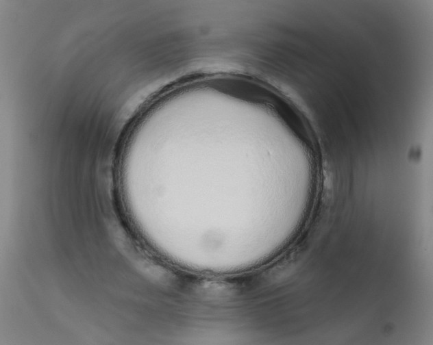 X0000110720487200907022050