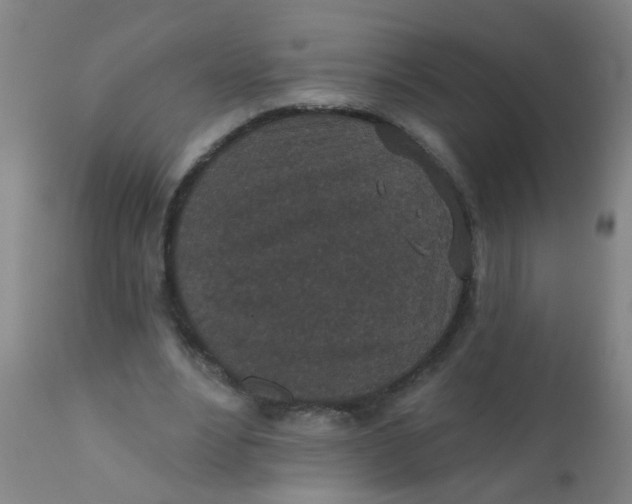 X0000110720488200907022050