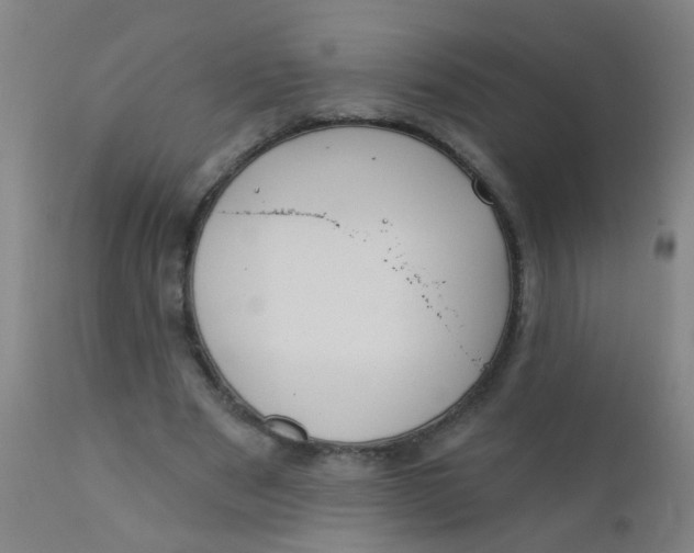 X0000110720489200907022050