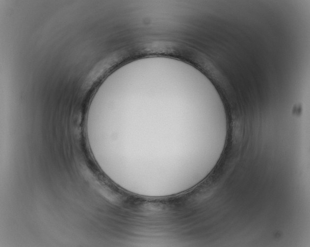 X0000110720490200907022050