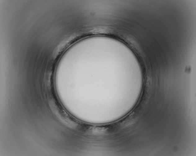 X0000110720491200907022050