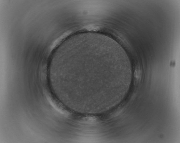 X0000110720492200907022050