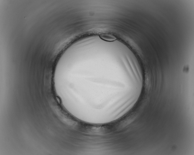 X0000110720493200907022049